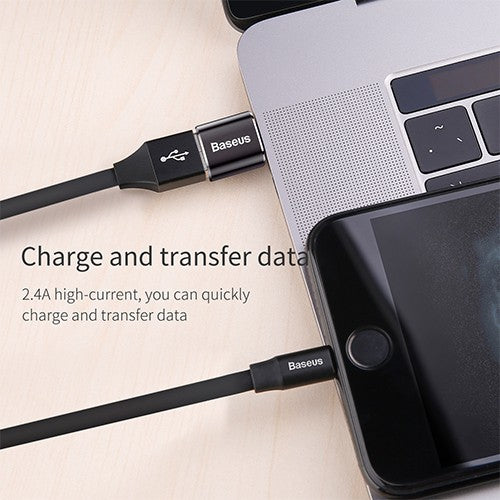 Baseus Mini USB Female to Type-C Male Adapter Converter