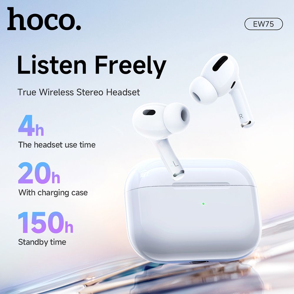 Hoco EW75 Physical Noise Cancelling True Wireless Earphones