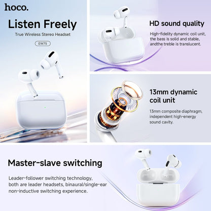 Hoco EW75 Physical Noise Cancelling True Wireless Earphones