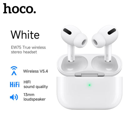 Hoco EW75 Physical Noise Cancelling True Wireless Earphones